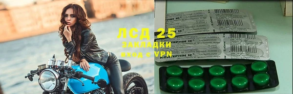 прущий лед Новозыбков