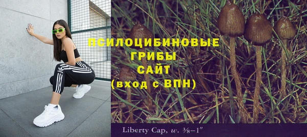 наркотики Новодвинск