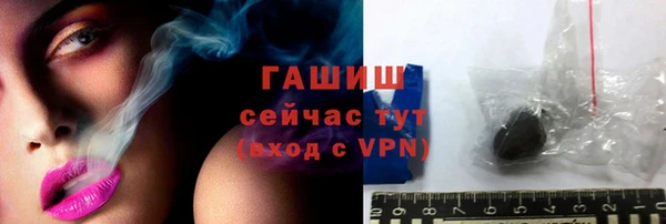 прущий лед Новозыбков