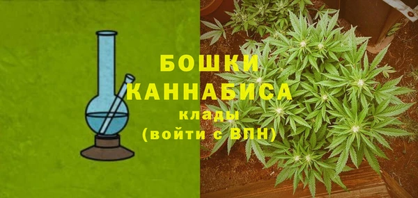 прущий лед Новозыбков