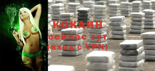 прущий лед Новозыбков