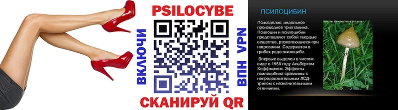 мега вход  Покров  Галлюциногенные грибы GOLDEN TEACHER 