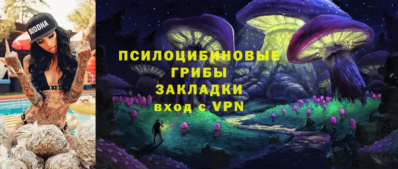 как найти наркотики  Покров  Галлюциногенные грибы MAGIC MUSHROOMS 